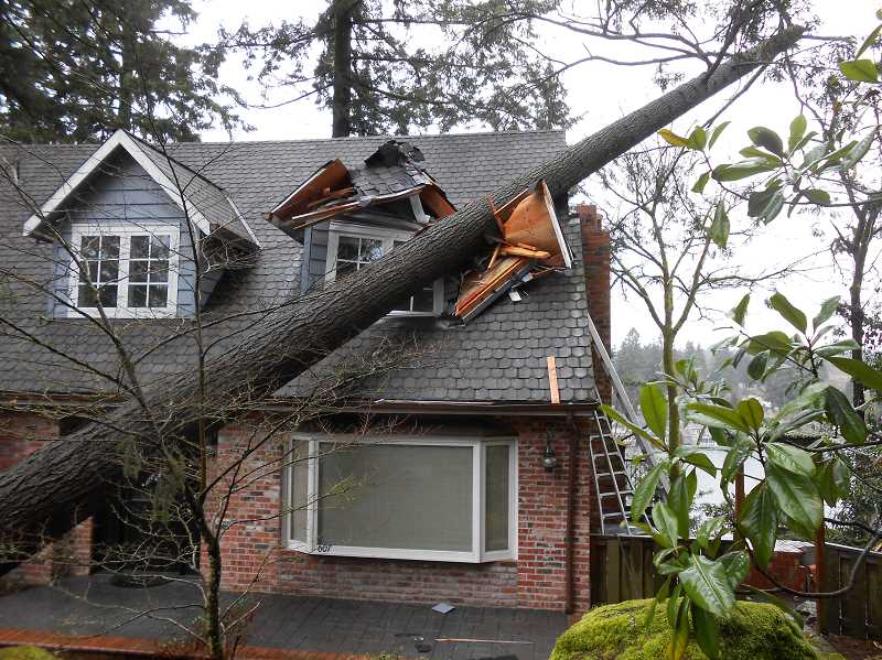 storm damage emergency