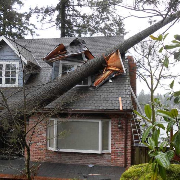 storm damage emergency